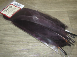Goose Shoulders Claret Wapsi