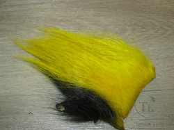 imi skin Monkey Medium ( 5 - 9 cm ) Yellow 3Y