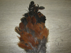 Хвост петуха Cock Tail Short Brown ( распродажа П 131 )