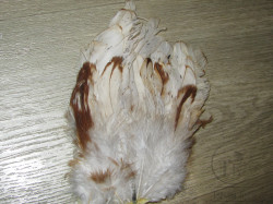 Хвост петуха Cock Tail Short Cream ( распродажа П 133 )