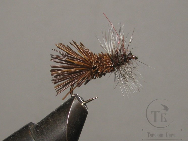 Mуха (14) Goddard Caddis Dk Brown Grizzly Kumho № 10