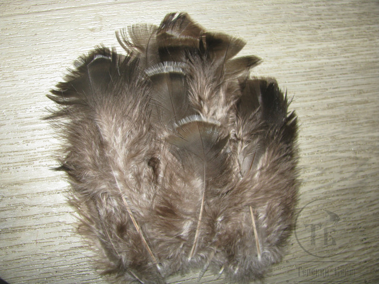 Перо индюшиное натуральное ( распродажа П- 22 )