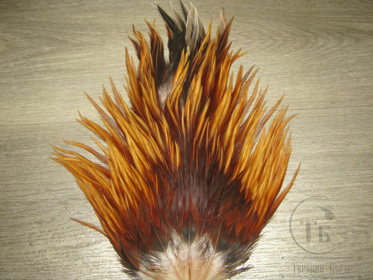Седло петуха Indian saddle Fiery Ginger XL Pr.