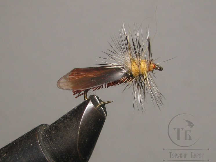 Mуха (17) Goddard Caddis W. Wing Brown Kumho № 12