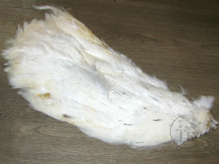 Шкура 1/2 белого фазана White Cock Pheasant Skin Natural White