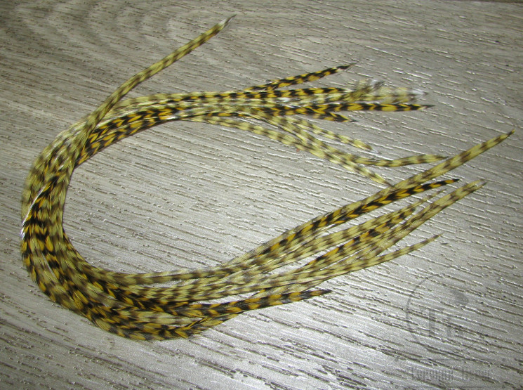 Перо Dry Fly (для сухих мух) 10 шт гризли светло оливковый , крючки № 14