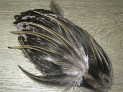 Набор перьев на коже для сухих и мокрых мух Speckled Badger Black