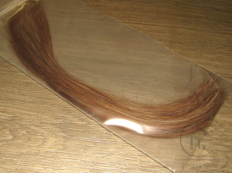 Horse's tail Rusty