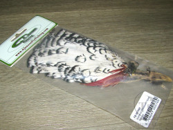 Перья шеи и головы алмазного фазана Lady Amherst Tippet / Head Feathers Natural Jensen