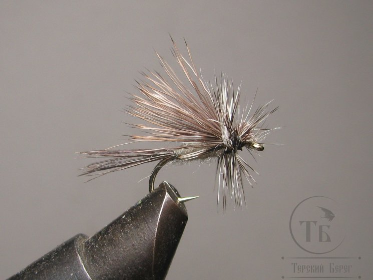 Mуха  Caddis ( 35 ) Pheasant Tail Grey kp № 10