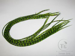Перо из седла петуха отборное ( 1 шт ) Гризли флюр  зеленое / Grizzly Fl. Green