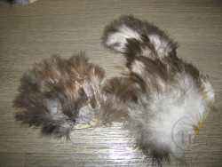 Перо курицы на коже Chicabou Lt. Grey ( распродажа П- 139 )
