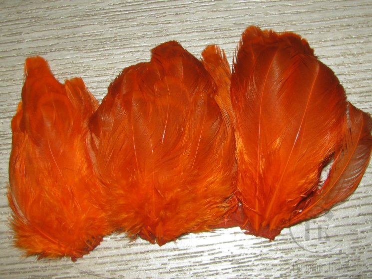 Куриное перо Hen Feathers рыже оранжевый
