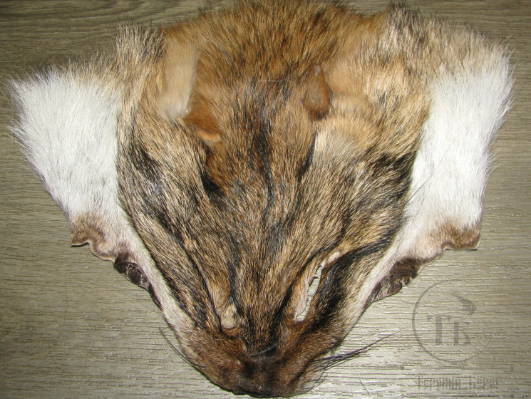 Маска койота натуральная Coyote Mask Natural Fur