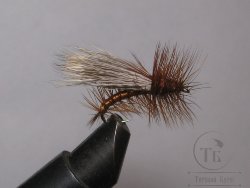 Муха сухая Stimulator ( 40 ) Brown крючок № 10 ( Kumho )