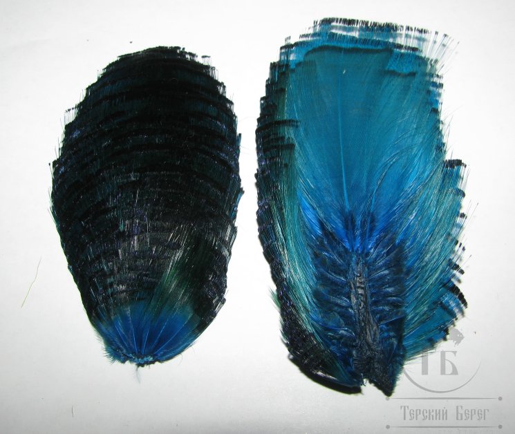 Золотой фазан шея Golden Pheasant Tippet Section Silver Doc Blue Super Fly