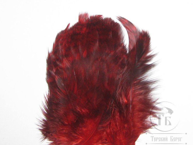 Перо петуха на коже лопаточное рябое красное Scapulars feathers Coq de Leon Barred Red