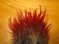 Перья Золотого фазана грудные натуральные / Golden Pheasant Breast Feathers Natural Red Salmon Select 24f. 