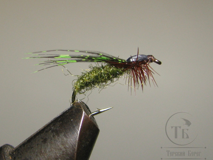 Муха Комар Mosquito ( 5 ) Olive кр.№ 12