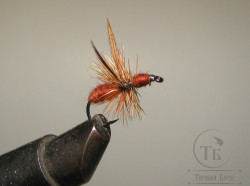 Муха муравей Ant Dif. ( 5 ) Dubb. Brown Wing Kumho Dry № 12