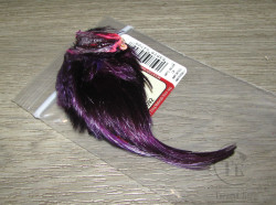 Золотой фазан хохолок Golden Pheasant Crest Only Purple Wapsi 