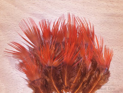 Перья Золотого фазана со спины / Golden Pheasant Back Feathers Tone Orange 