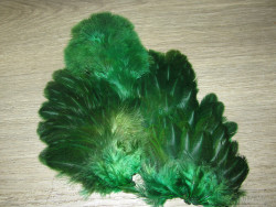 Перо курицы рябое Brahma Hen Soft Hackle W/Chickabou Tone Green Whiting