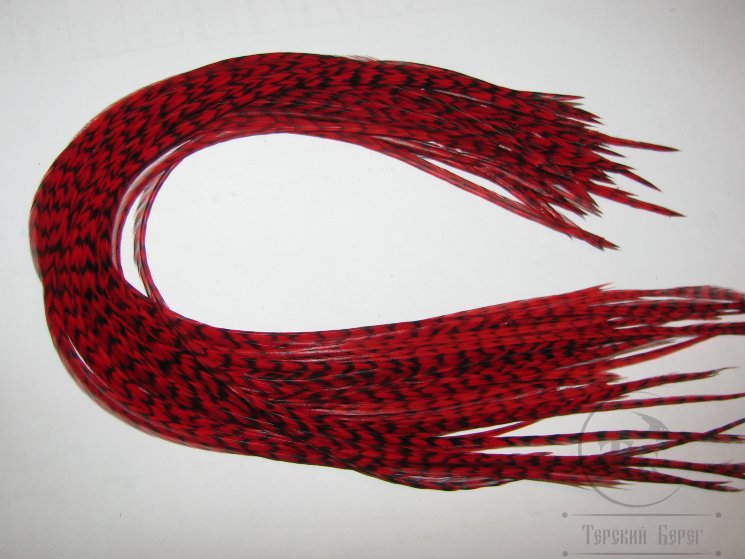 Перо из седла петуха отборное ( 1 шт ) Гризли  красное / Grizzly Red