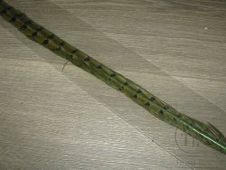 Центральное хвостовое перо охотничьего фазана зеленая олива ( 1 шт ) Pheasant Ringneck Tail Green Olive