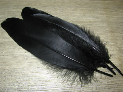 Goose Shoulders Black ( 2 пары ) Терский берег
