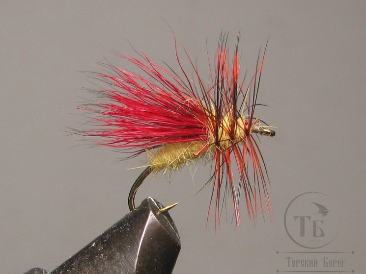 Муха сухая  Stimulator  ( 19 ) Stim Caddis  Claret крючок № 14  Kumho 