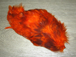 Перо курицы рыжее рябое 1/4 Soft Hackle Rusty Orange Bar.