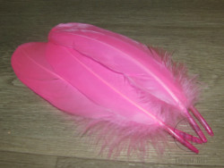 Goose Shoulders Fl. Pink ( 2 пары ) Терский берег