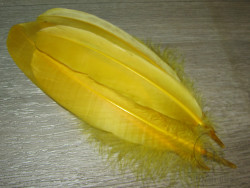 Goose Shoulders Yellow ( 2 пары ) Терский берег