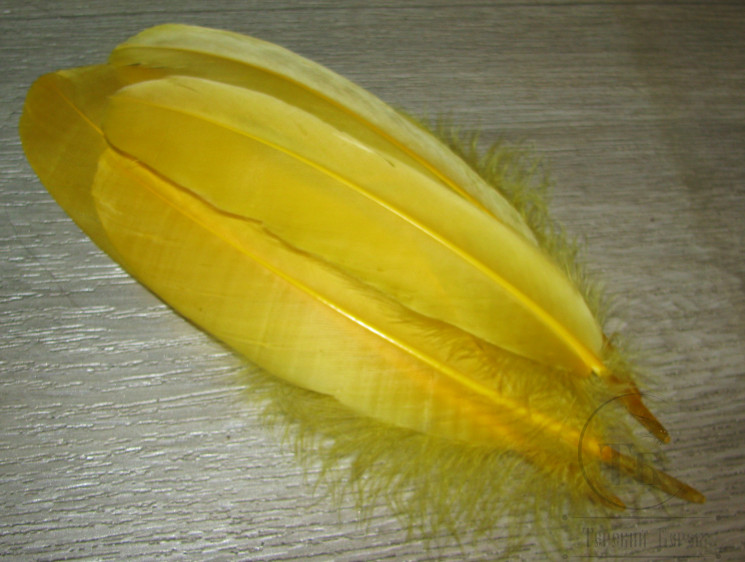 Goose Shoulders Yellow ( 2 пары ) Терский берег