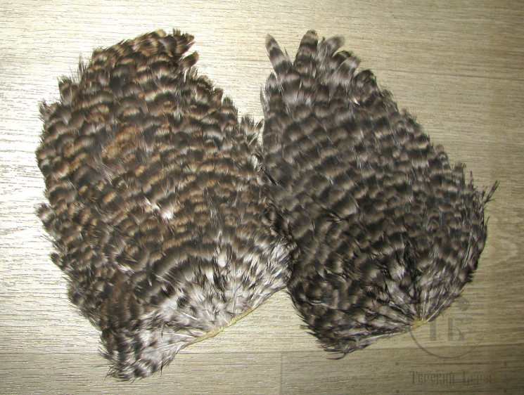 Курица седло Indian Hen Saddle Grizzly / Гризли