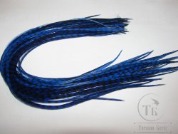 Перо из седла петуха отборное ( 1 шт ) Гризли синий / Grizzly Blue ( 30 - 34 см ) 
