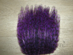 Перья скальпа петуха на коже ( большой вырез верхней части скальпа ) American Grizzly Purple мелкое и среднее перо SAP 14