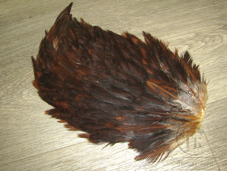 Курица седло Indian Hen Saddle Chocolate Brown / Шоколадно Коричневое