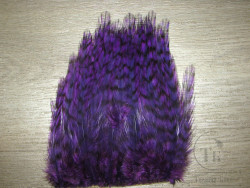 Перья скальпа петуха на коже ( большой вырез средней части скальпа ) American Grizzly Purple среднее и крупное перо SAP 15