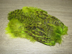 Перья серой куропатки на коже спина Fl. Chartreuse