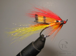 Лососёвая муха Shrimp ( 20 ) Varzuga Shrimp Partridge Salar Black № 5 