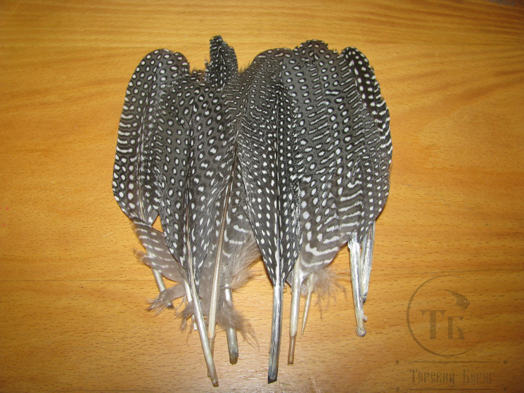 Маховые мелкие и хвостовые перья цесарки 10 шт. ( распродажа П- 51 )