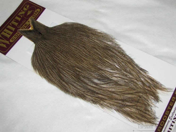 Скальп петуха Whiting Coq De Leon Cape Md. Pardo Badger