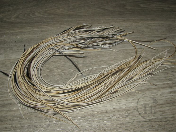 Перо из седла петуха отборное ( 1 шт ) серебряный баджер вариант  / Silver Badger Var. 30 - 36 см.