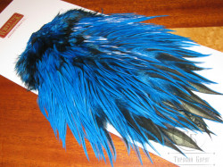 Седло петуха с широким пером Whiting Brahma Rooster Saddle Badger Kingfisher Blue