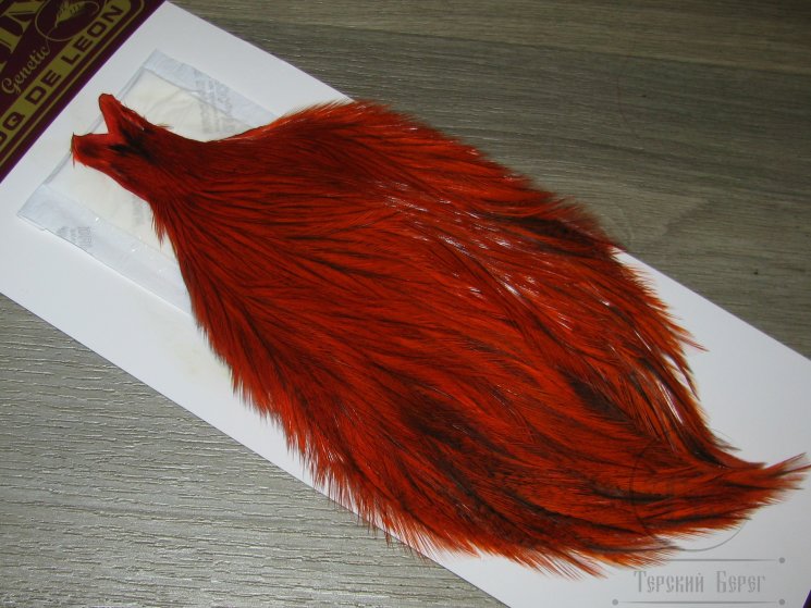 Скальп петуха Whiting Coq De Leon  Cape  Lt. Pardo Badger Orange ( покраска Терский Берег)