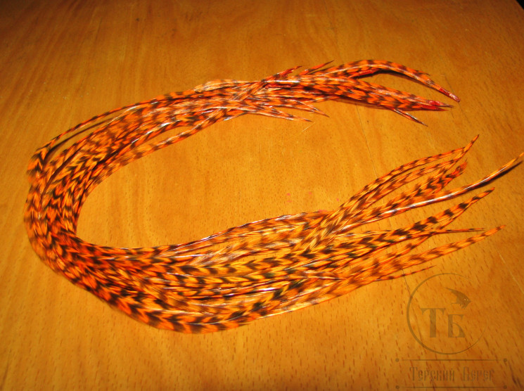 Перо из седла петуха отборное ( 1 шт ) Гризли флюр оранжевый / Grizzly Fl. Orange 30 - 33 см.