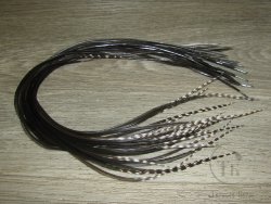 Перо из седла петуха отборное ( 1 шт ) Black Natural Grizzly Tips Variant ( 33 - 35 см )
