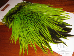 Седло петуха с широким пером Whiting Brahma Rooster Saddle Badger Fl. Green Chart.